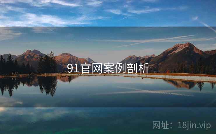 91官网案例剖析