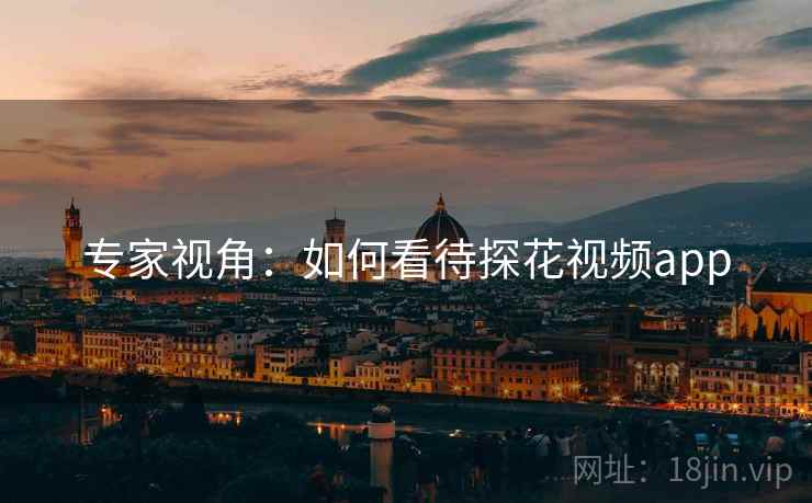 专家视角：如何看待探花视频app