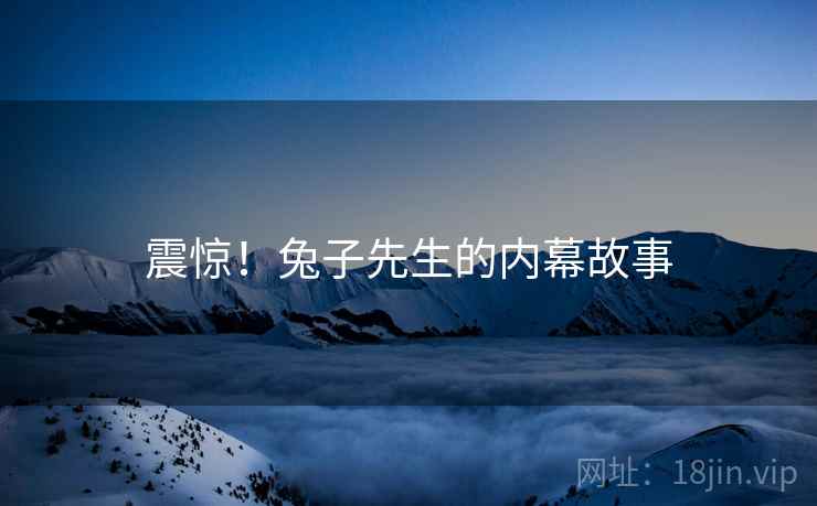 震惊！兔子先生的内幕故事