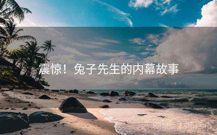 震惊！兔子先生的内幕故事