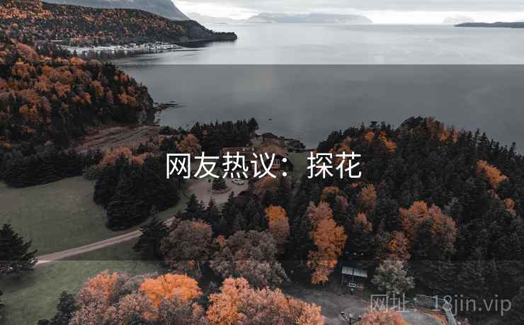 网友热议：探花