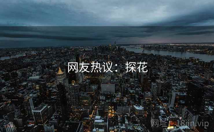 网友热议：探花