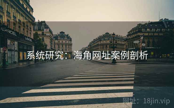 系统研究：海角网址案例剖析