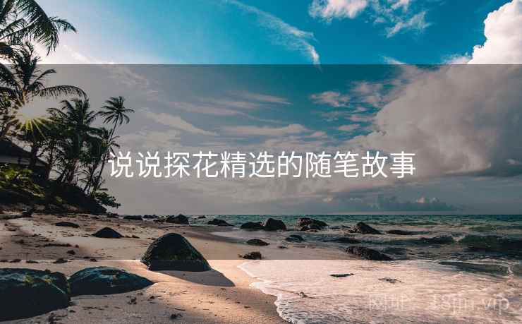 说说探花精选的随笔故事