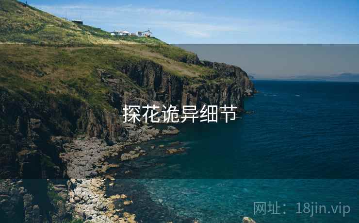 探花诡异细节
