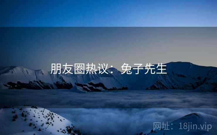 朋友圈热议:兔子先生
