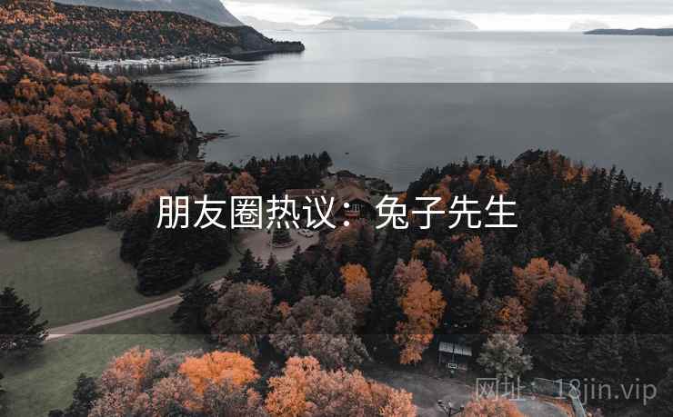 朋友圈热议:兔子先生 朋友圈热议:兔子先生