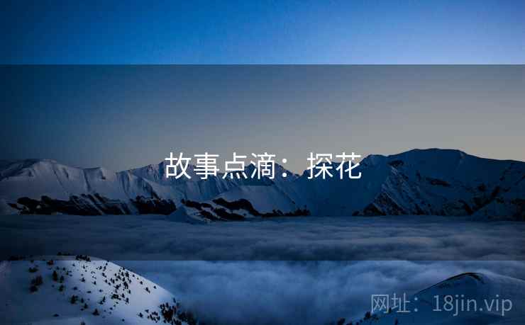 故事点滴:探花
