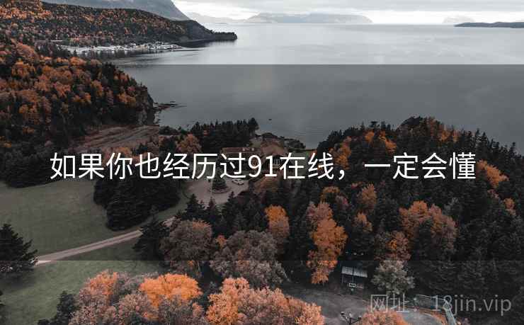 如果你也经历过91在线,一定会懂 如果你也经历过91在线,一定会懂