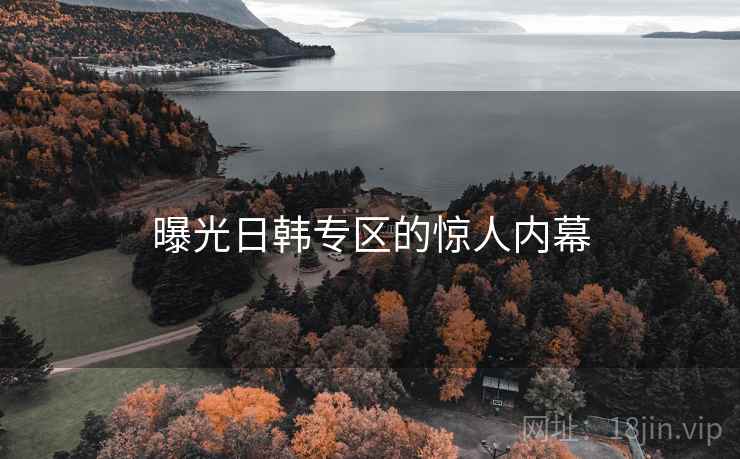 曝光日韩专区的惊人内幕