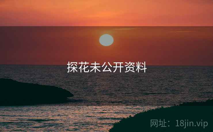 探花未公开资料