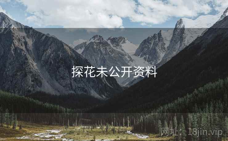 探花未公开资料 探花未公开资料