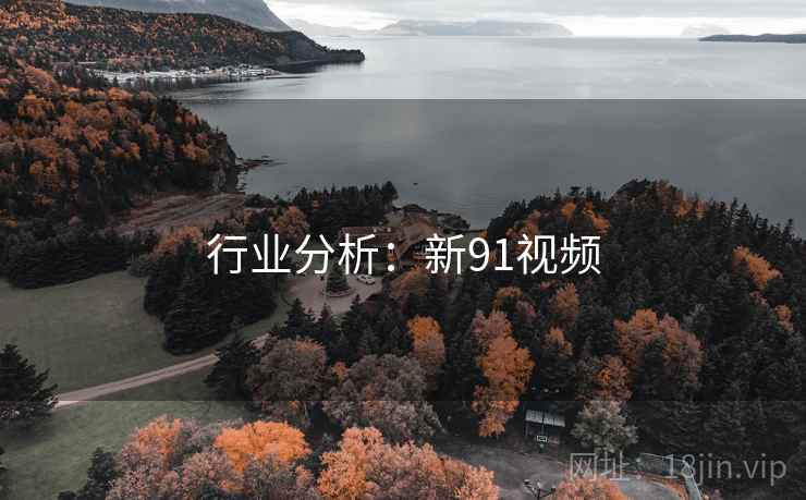 行业分析:新91视频 行业分析:新91视频
