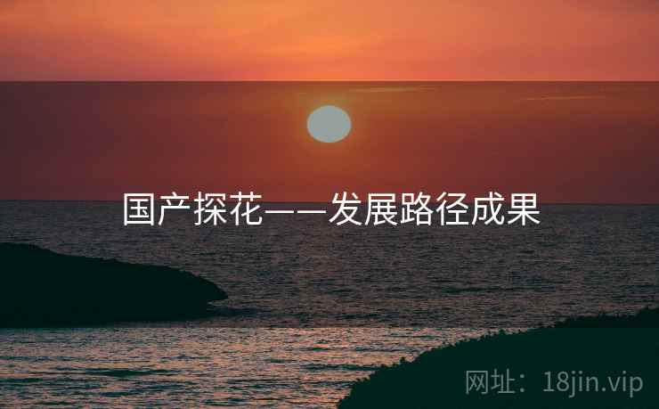 国产探花——发展路径成果 国产探花——发展路径成果